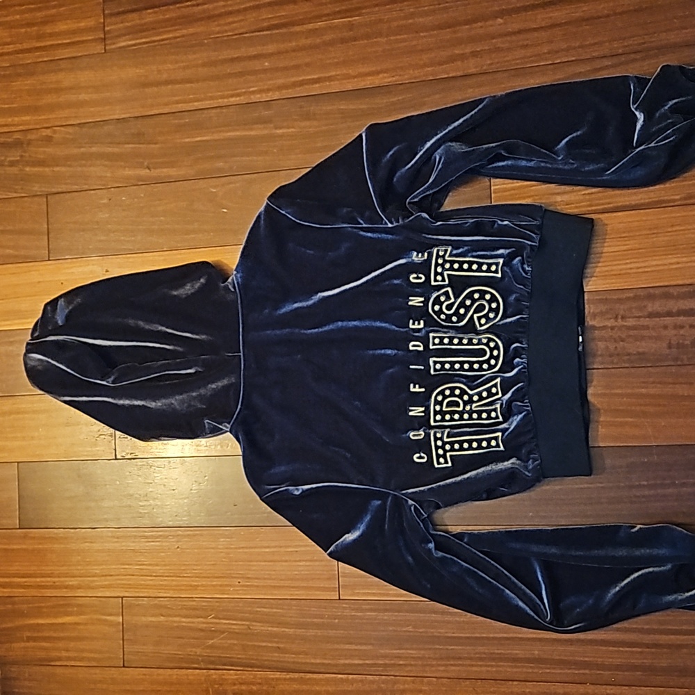 Shein Sky Velvet Hoodie - Picture 1 of 6